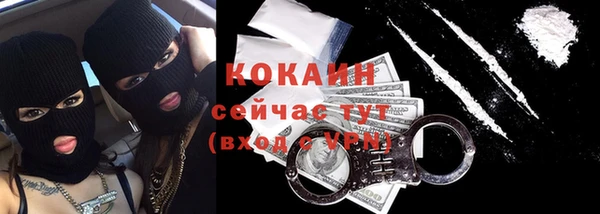 прущий лед Новозыбков