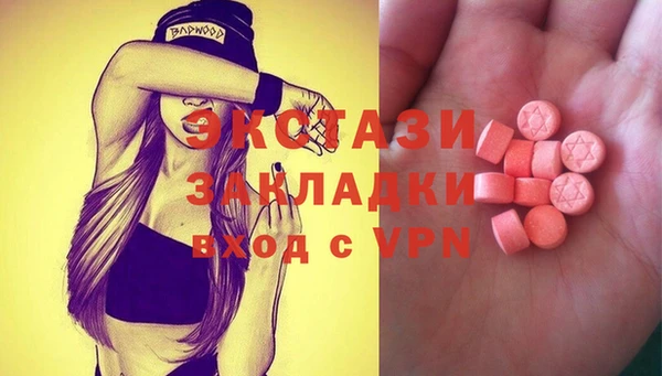 прущий лед Новозыбков