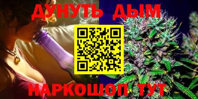 сатива Апшеронск