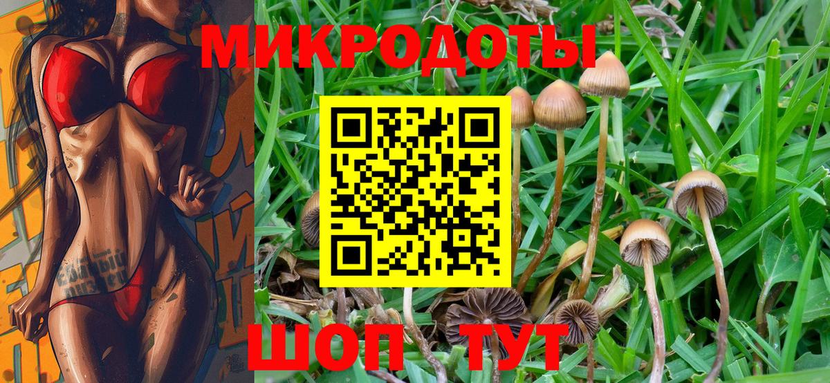Псилоцибиновые грибы Psilocybine cubensis Белебей