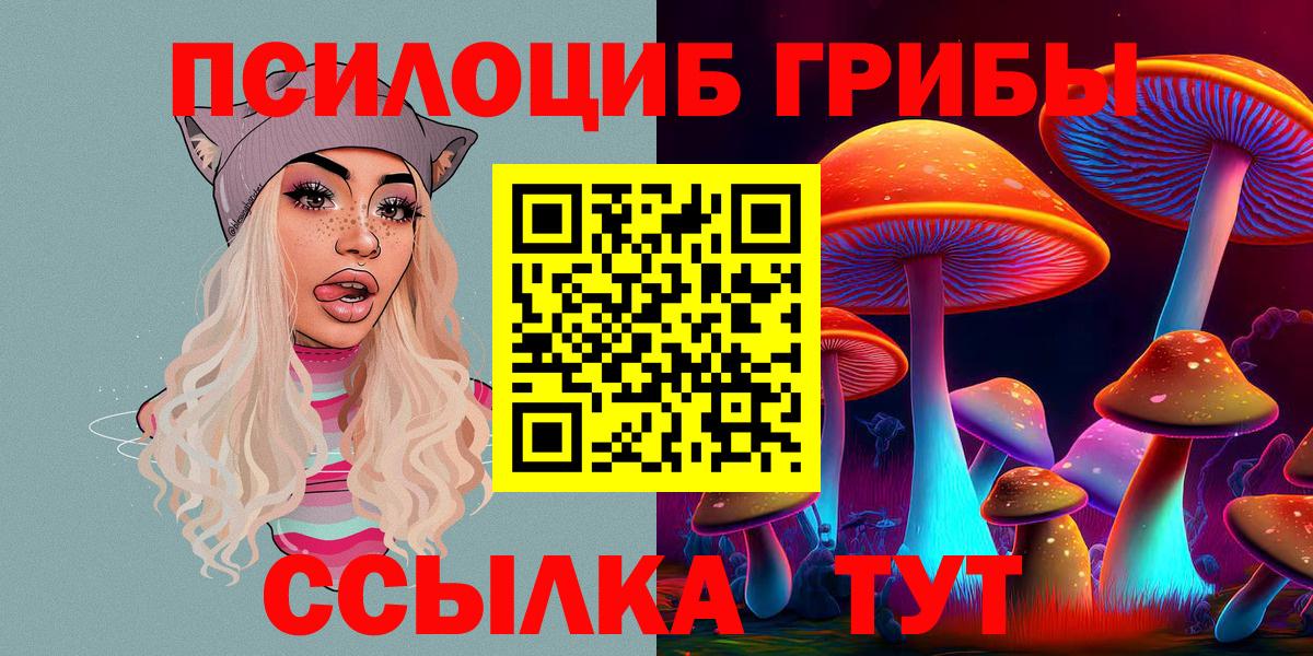 Галлюциногенные грибы Psilocybe Белебей