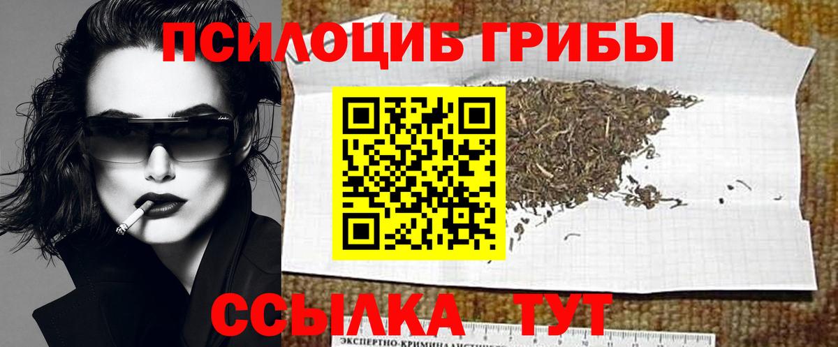 Галлюциногенные грибы Magic Shrooms  Галлюциногенные грибы прущие грибы  Белебей  Вход с VPN 